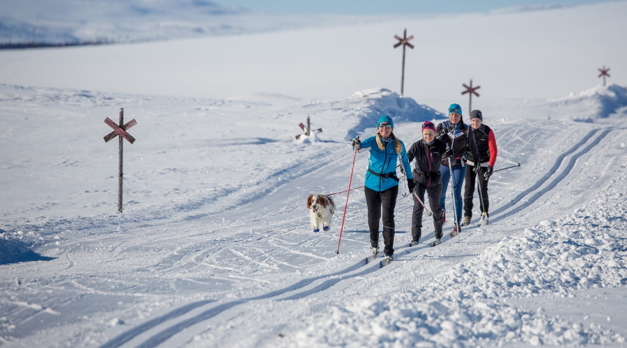 Wintersport Funäsdalsberget